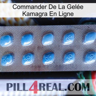 Commander De La Gelée Kamagra En Ligne viagra3